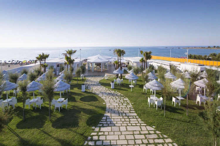 Krzesło Coccolona z podłokietnikami 2320 81 Scab Design antracytowe prostota minimalizm nowoczesność komfort wysoka jakość włoskie do kawiarni do hotelu restauracji