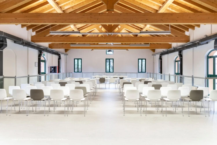 krzesło Babila, krzesło Pedrali, krzesło minimalistyczne, krzesło do jadalni, krzesło do kuchni, krzesło konferencyjne, nowoczesny design, włoski design