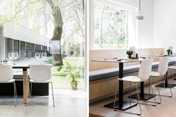 krzesło Babila, krzesło Pedrali, krzesło minimalistyczne, krzesło do jadalni, krzesło do kuchni, krzesło konferencyjne, nowoczesny design, włoski design