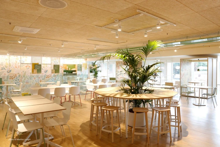 hoker Babila, hoker Pedrali, hoker do kuchni, hoker do jadalni, hoker do restauracji, hoker włoski, nowoczesny design, włoski design