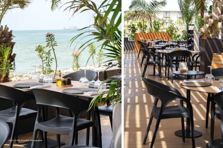 krzesło Gossip, krzesło Pedrali, krzesło z tworzywa, krzesło outdoorowe, krzesło na taras, krzesło do restauracji, krzesło włoskie, włoski design, nowoczesny design