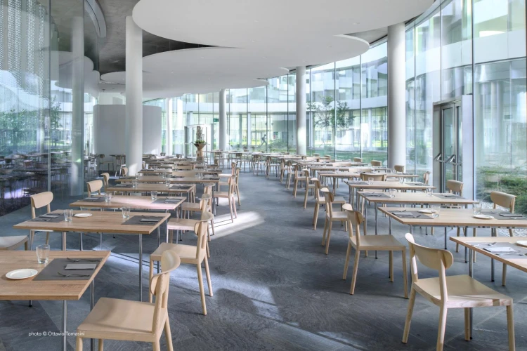 krzesło Tivoli, krzesło Pedrali, krzesło do jadalni, krzesło do kuchni, krzesło do restauracji, krzesło drewniane, włoski design, nowoczesny design