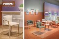 krzesło Lamorisse, krzesło Pedrali, włoski design, krzesło aluminiowe, krzesło tapicerowane, krzesło z podłokietnikami, krzesło outdoorowe, eleganckie krzesło, meble włoskie, krzesło na taras, krzesło do restauracji