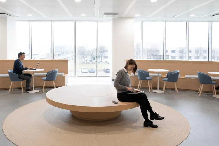 krzesło Nym, krzesło Pedrali, włoski design, krzesło drewniane, krzesło tapicerowane, krzesło do jadalni, krzesło do restauracji, krzesło ergonomiczne