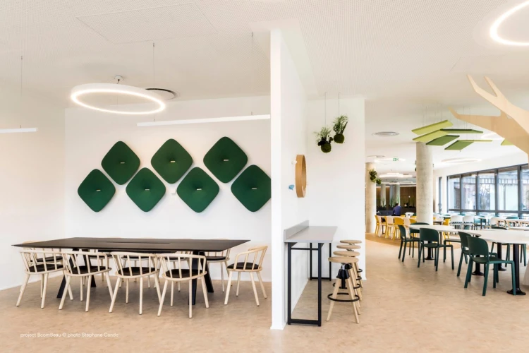 krzesło Nym, krzesło Pedrali, włoski design, krzesło drewniane, krzesło tapicerowane, krzesło do jadalni, krzesło do restauracji, krzesło ergonomiczne