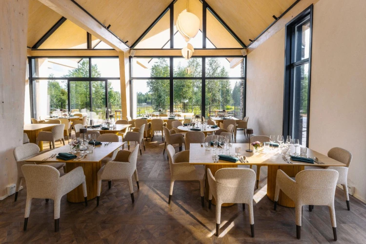 krzesło Ester Pedrali, krzesło designerskie, krzesło eleganckie, krzesło tapicerowane, krzesło z aluminium, krzesło do restauracji, krzesło do hotelu, krzesło nowoczesne, krzesło premium, krzesło ergonomiczne, designerskie krzesło
