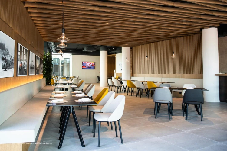 krzesło Vic, krzesło tapicerowane, eleganckie krzesło do jadalni, krzesło do restauracji, krzesło do kawiarni, krzesło na drewnianych nogach, krzesło z litego drewna, krzesło z jesionu, wygodne krzesło do stołu, designerskie krzesło
