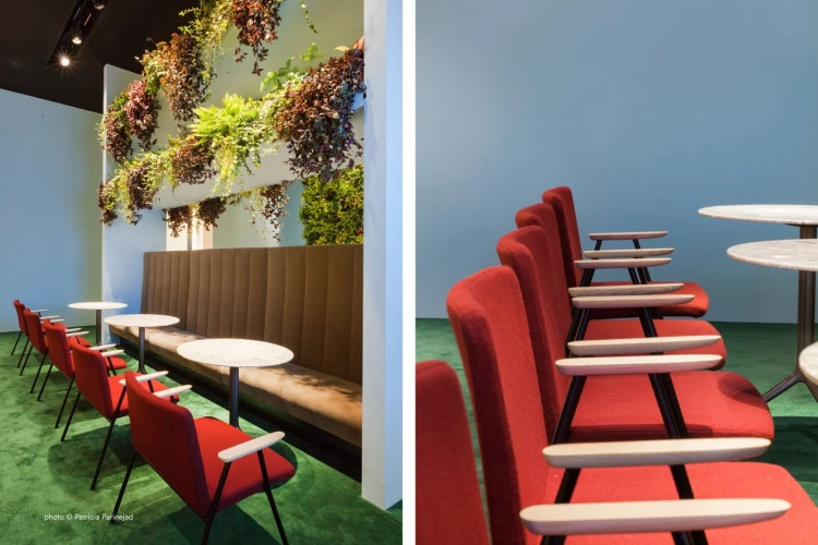 fotel Osaka, fotel tapicerowany, fotel z jesionu, fotel do sypialni, fotel do salonu, fotel do restauracji, fotel do kawiarni, fotel w stylu skandynawskim