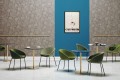 krzesło Pedrali, krzesło Gliss, designerskie krzesło, włoski design, krzesło z podłokietnikami, krzesło do jadalni, krzesło do kuchni, krzesło do restauracji, krzesło do kawiarni, krzesło konferencyjne