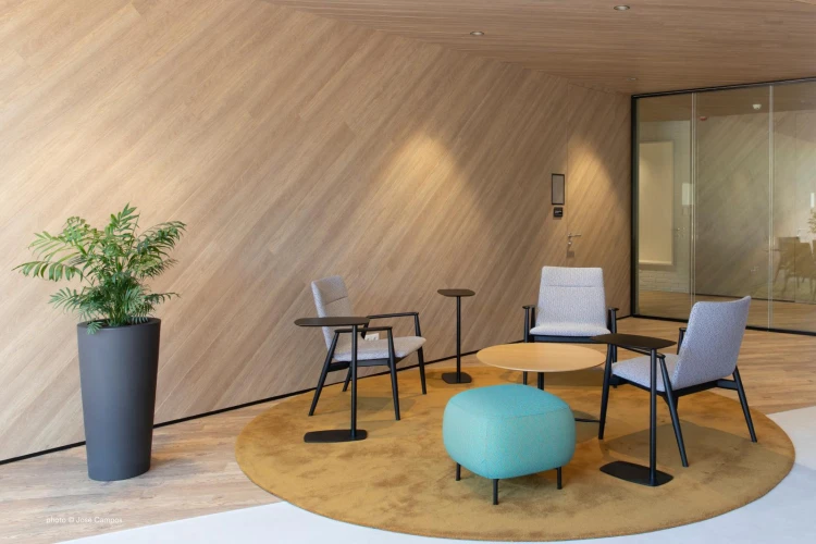 fotel Malmo, fotel Pedrali, fotel drewniany, fotel do salonu, fotel do sypialni, jesionowy fotel, wygodny fotel, nowoczesny design, włoski design