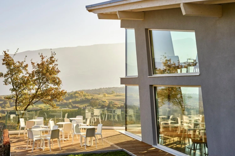 krzesło Snow, krzesło Pedrali, krzesło outdoorowe, krzesło z tworzywa, krzesło na taras, krzesło do jadalni, krzesło do restauracji, włoski design, nowoczesny design